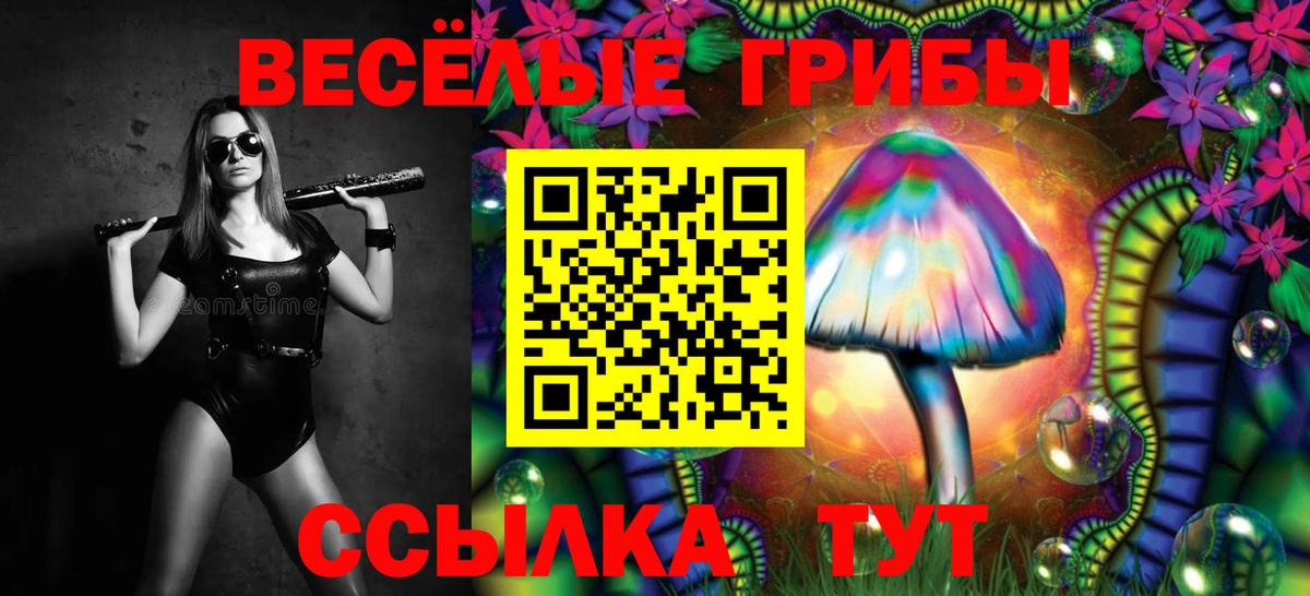 Протвино  Псилоцибиновые грибы Magic Shrooms  Вход с VPN 